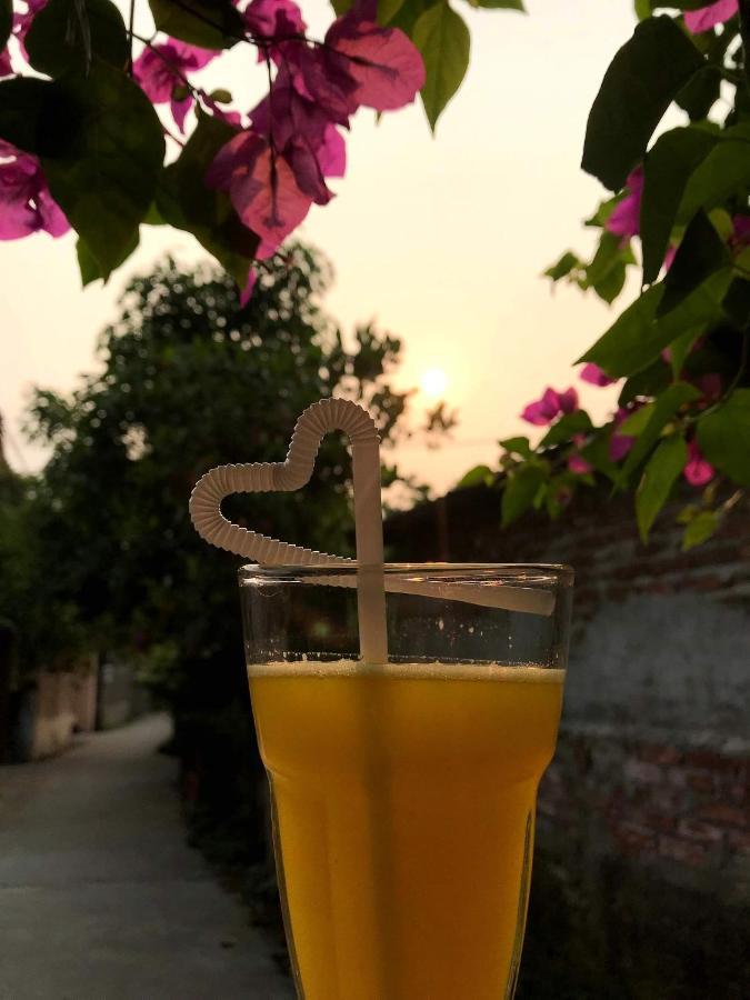 Tam Coc Cozy Homestay Ninh Binh Exterior foto