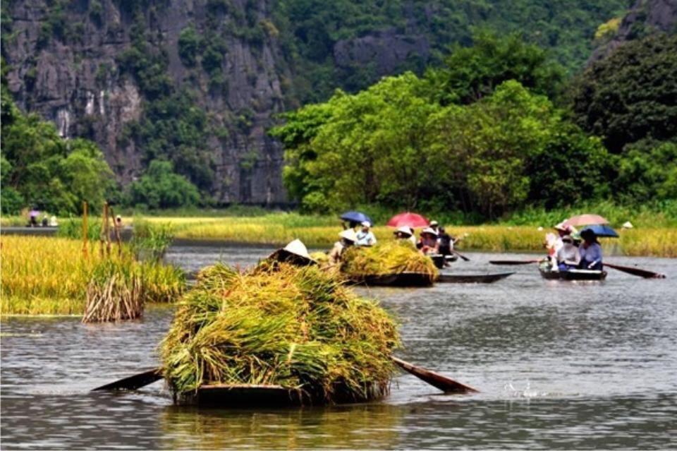 Tam Coc Cozy Homestay Ninh Binh Exterior foto